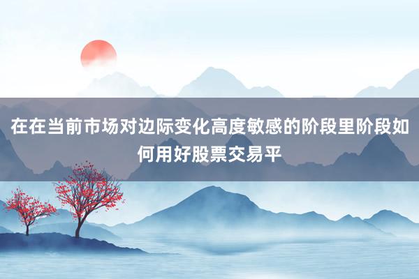 在在当前市场对边际变化高度敏感的阶段里阶段如何用好股票交易平