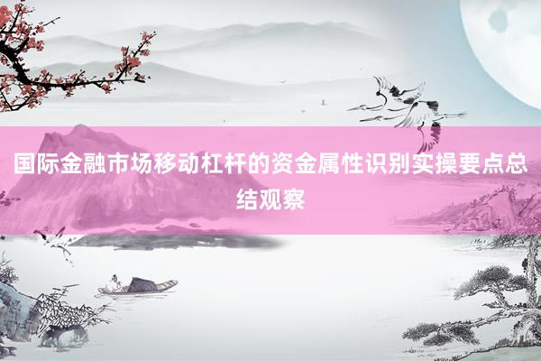 国际金融市场移动杠杆的资金属性识别实操要点总结观察