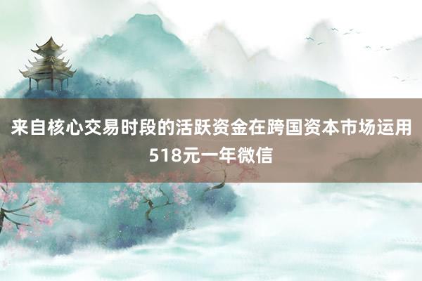 来自核心交易时段的活跃资金在跨国资本市场运用518元一年微信