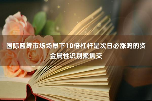 国际蓝筹市场场景下10倍杠杆是次日必涨吗的资金属性识别聚焦交