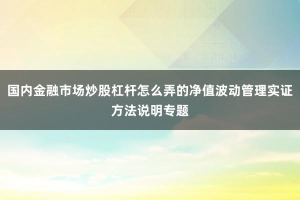 国内金融市场炒股杠杆怎么弄的净值波动管理实证方法说明专题